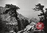 Standbild Mount San Jacinto State Park California United States USA, 1935, aus Sekunde 25 historischem Filmmaterial Videoclip 65675066951