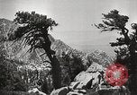 Standbild Mount San Jacinto State Park California United States USA, 1935, aus Sekunde 30 historischem Filmmaterial Videoclip 65675066951