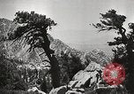 Standbild Mount San Jacinto State Park California United States USA, 1935, aus Sekunde 32 historischem Filmmaterial Videoclip 65675066951