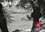 Standbild Mount San Jacinto State Park California United States USA, 1935, aus Sekunde 43 historischem Filmmaterial Videoclip 65675066951