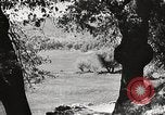 Standbild Mount San Jacinto State Park California United States USA, 1935, aus Sekunde 44 historischem Filmmaterial Videoclip 65675066951