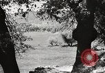 Standbild Mount San Jacinto State Park California United States USA, 1935, aus Sekunde 47 historischem Filmmaterial Videoclip 65675066951