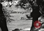 Standbild Mount San Jacinto State Park California United States USA, 1935, aus Sekunde 48 historischem Filmmaterial Videoclip 65675066951