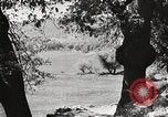 Standbild Mount San Jacinto State Park California United States USA, 1935, aus Sekunde 52 historischem Filmmaterial Videoclip 65675066951