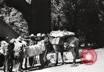 Standbild Mount San Jacinto State Park California United States USA, 1935, aus Sekunde 54 historischem Filmmaterial Videoclip 65675066951