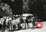 Standbild Mount San Jacinto State Park California United States USA, 1935, aus Sekunde 55 historischem Filmmaterial Videoclip 65675066951