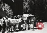 Standbild Mount San Jacinto State Park California United States USA, 1935, aus Sekunde 56 historischem Filmmaterial Videoclip 65675066951