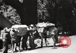 Standbild Mount San Jacinto State Park California United States USA, 1935, aus Sekunde 57 historischem Filmmaterial Videoclip 65675066951