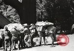 Standbild Mount San Jacinto State Park California United States USA, 1935, aus Sekunde 58 historischem Filmmaterial Videoclip 65675066951