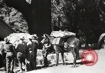 Standbild Mount San Jacinto State Park California United States USA, 1935, aus Sekunde 59 historischem Filmmaterial Videoclip 65675066951
