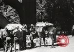 Standbild Mount San Jacinto State Park California United States USA, 1935, aus Sekunde 60 historischem Filmmaterial Videoclip 65675066951