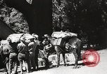 Standbild Mount San Jacinto State Park California United States USA, 1935, aus Sekunde 61 historischem Filmmaterial Videoclip 65675066951