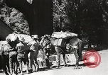 Standbild Mount San Jacinto State Park California United States USA, 1935, aus Sekunde 62 historischem Filmmaterial Videoclip 65675066951