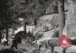 Standbild Nationalparks California United States USA, 1935, aus Sekunde 23 historischem Filmmaterial Videoclip 65675066952