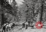 Standbild Nationalparks California United States USA, 1935, aus Sekunde 29 historischem Filmmaterial Videoclip 65675066952