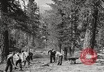 Standbild Nationalparks California United States USA, 1935, aus Sekunde 30 historischem Filmmaterial Videoclip 65675066952
