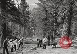 Standbild Nationalparks California United States USA, 1935, aus Sekunde 31 historischem Filmmaterial Videoclip 65675066952
