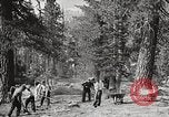 Standbild Nationalparks California United States USA, 1935, aus Sekunde 32 historischem Filmmaterial Videoclip 65675066952