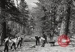 Standbild Nationalparks California United States USA, 1935, aus Sekunde 33 historischem Filmmaterial Videoclip 65675066952