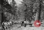 Standbild Nationalparks California United States USA, 1935, aus Sekunde 34 historischem Filmmaterial Videoclip 65675066952