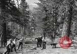 Standbild Nationalparks California United States USA, 1935, aus Sekunde 35 historischem Filmmaterial Videoclip 65675066952