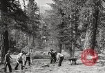 Standbild Nationalparks California United States USA, 1935, aus Sekunde 36 historischem Filmmaterial Videoclip 65675066952
