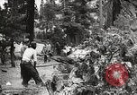 Standbild Nationalparks California United States USA, 1935, aus Sekunde 37 historischem Filmmaterial Videoclip 65675066952