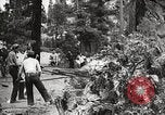Standbild Nationalparks California United States USA, 1935, aus Sekunde 38 historischem Filmmaterial Videoclip 65675066952