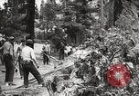 Standbild Nationalparks California United States USA, 1935, aus Sekunde 39 historischem Filmmaterial Videoclip 65675066952