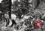 Standbild Nationalparks California United States USA, 1935, aus Sekunde 40 historischem Filmmaterial Videoclip 65675066952