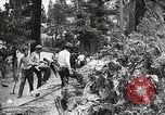 Standbild Nationalparks California United States USA, 1935, aus Sekunde 41 historischem Filmmaterial Videoclip 65675066952