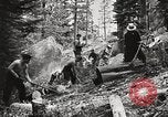 Standbild Nationalparks California United States USA, 1935, aus Sekunde 42 historischem Filmmaterial Videoclip 65675066952