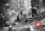 Standbild Nationalparks California United States USA, 1935, aus Sekunde 44 historischem Filmmaterial Videoclip 65675066952