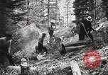 Standbild Nationalparks California United States USA, 1935, aus Sekunde 45 historischem Filmmaterial Videoclip 65675066952