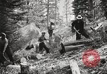 Standbild Nationalparks California United States USA, 1935, aus Sekunde 47 historischem Filmmaterial Videoclip 65675066952