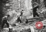 Standbild Nationalparks California United States USA, 1935, aus Sekunde 48 historischem Filmmaterial Videoclip 65675066952
