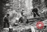 Standbild Nationalparks California United States USA, 1935, aus Sekunde 49 historischem Filmmaterial Videoclip 65675066952