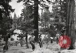 Standbild Nationalparks California United States USA, 1935, aus Sekunde 52 historischem Filmmaterial Videoclip 65675066952