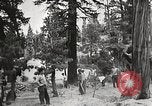Standbild Nationalparks California United States USA, 1935, aus Sekunde 55 historischem Filmmaterial Videoclip 65675066952