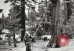 Standbild Nationalparks California United States USA, 1935, aus Sekunde 59 historischem Filmmaterial Videoclip 65675066952