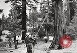 Standbild Nationalparks California United States USA, 1935, aus Sekunde 60 historischem Filmmaterial Videoclip 65675066952