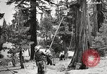 Standbild Nationalparks California United States USA, 1935, aus Sekunde 61 historischem Filmmaterial Videoclip 65675066952