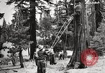Standbild Nationalparks California United States USA, 1935, aus Sekunde 62 historischem Filmmaterial Videoclip 65675066952