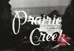 Standbild Prairie Creek Redwood Staaten Park California United States USA, 1935, aus Sekunde 1 historischem Filmmaterial Videoclip 65675066953