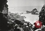 Standbild Prairie Creek Redwood Staaten Park California United States USA, 1935, aus Sekunde 9 historischem Filmmaterial Videoclip 65675066953