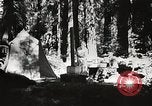 Standbild Prairie Creek Redwood Staaten Park California United States USA, 1935, aus Sekunde 17 historischem Filmmaterial Videoclip 65675066953