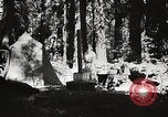 Standbild Prairie Creek Redwood Staaten Park California United States USA, 1935, aus Sekunde 18 historischem Filmmaterial Videoclip 65675066953