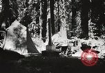 Standbild Prairie Creek Redwood Staaten Park California United States USA, 1935, aus Sekunde 20 historischem Filmmaterial Videoclip 65675066953