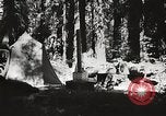Standbild Prairie Creek Redwood Staaten Park California United States USA, 1935, aus Sekunde 21 historischem Filmmaterial Videoclip 65675066953