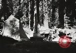 Standbild Prairie Creek Redwood Staaten Park California United States USA, 1935, aus Sekunde 22 historischem Filmmaterial Videoclip 65675066953